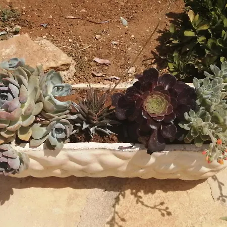 Casa de Férias Sicilia Beddra Marsala